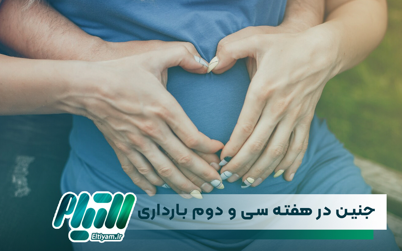 جنین در هفته سی و دوم بارداری