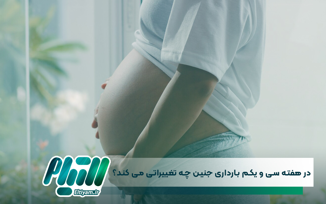 در هفته سی و یکم بارداری جنین چه تغییراتی می کند؟