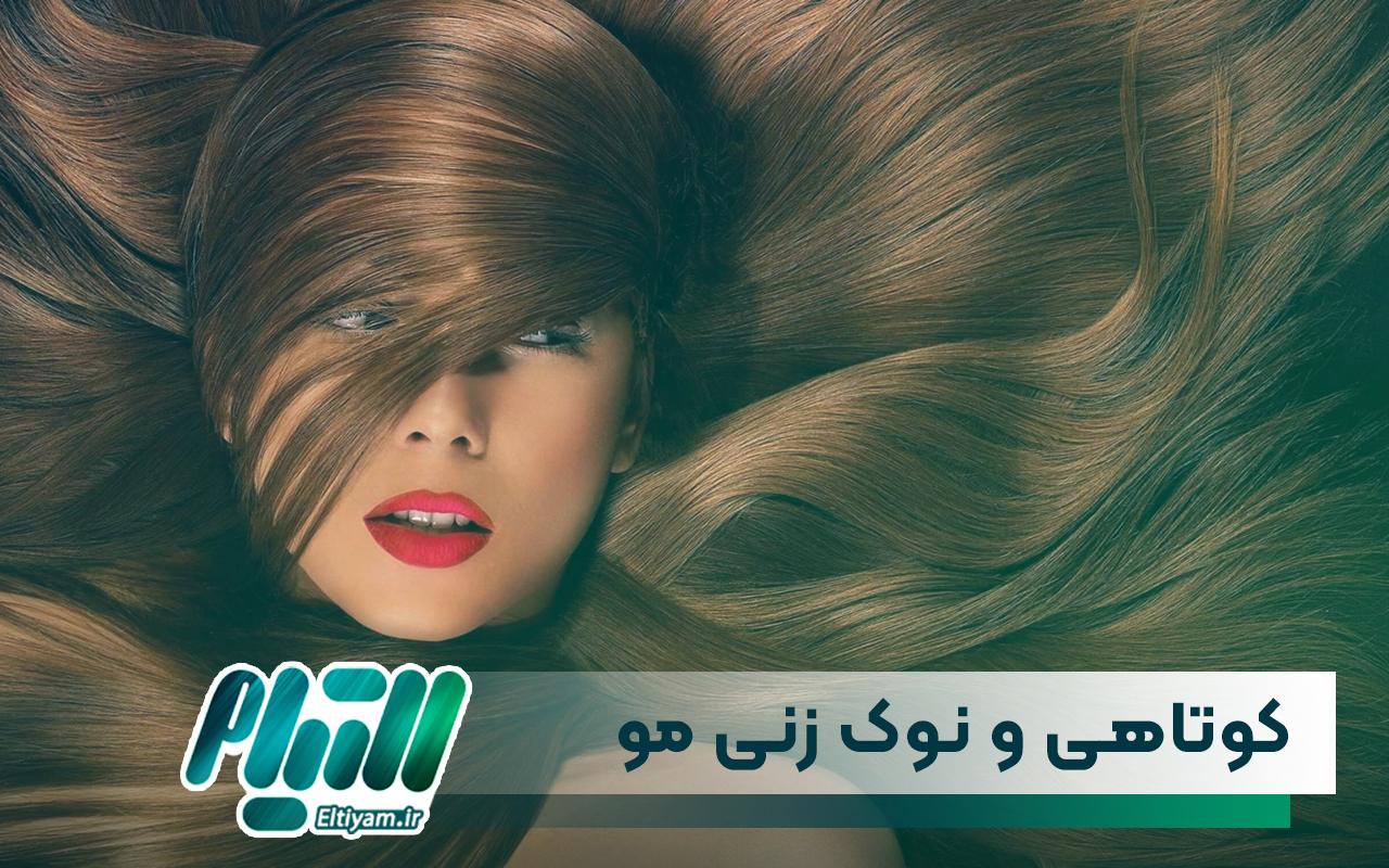 کوتاهی و نوک زنی مو